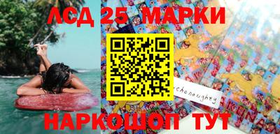 гидра Будённовск