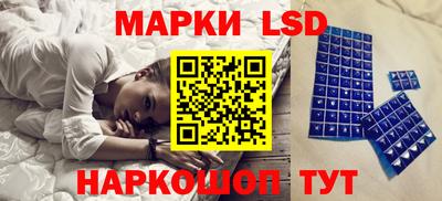 гидра Будённовск