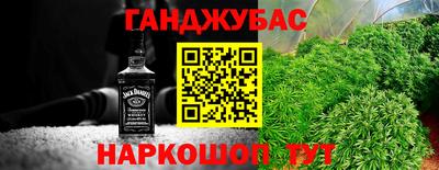 гидра Будённовск