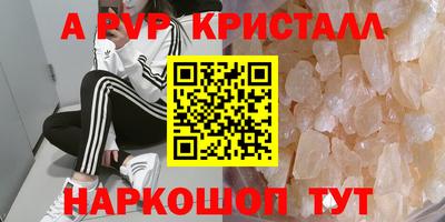 гидра Будённовск