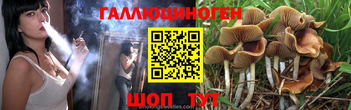 Королёв  Галлюциногенные грибы MAGIC MUSHROOMS  Вход с VPN 