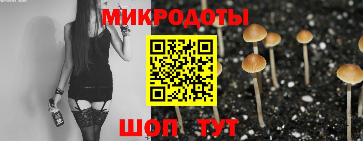 Псилоцибиновые грибы Psilocybine cubensis Королёв
